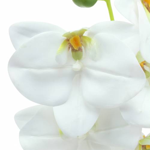 Orchidee kunsttak Phaelaenopsis wit H49cm