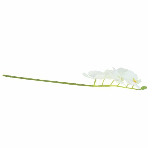 Floristik24 Orchidee kunsttak Phaelaenopsis wit H49cm