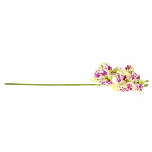 Artikel Orchidee kunsttak Phaelaenopsis Groen Roze H49cm
