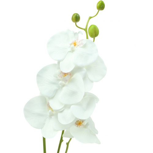 Floristik24 Orchidee Phalaenopsis kunstwit 80cm