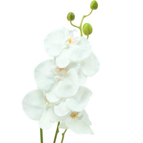 Orchidee Phalaenopsis kunstwit 80cm