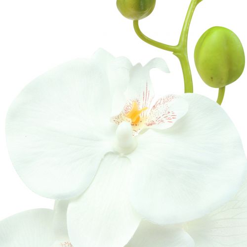 Artikel Orchidee Phalaenopsis kunstwit 80cm
