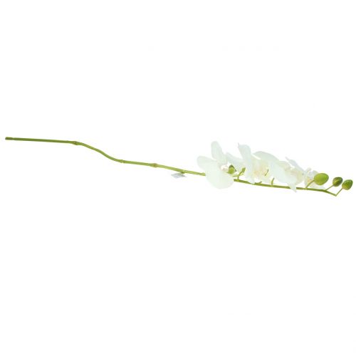 Floristik24 Orchidee Phalaenopsis kunstwit 80cm