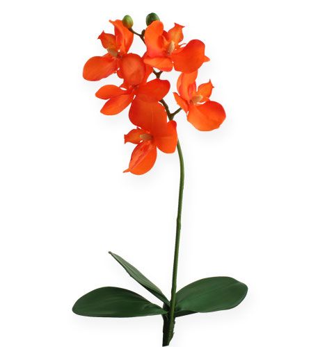 Floristik24 Kunstmatige orchidee met bladeren oranje 35cm