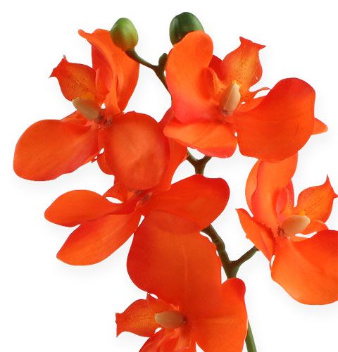 Artikel Kunstmatige orchidee met bladeren oranje 35cm