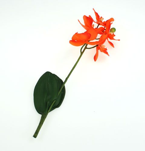 Floristik24 Kunstmatige orchidee met bladeren oranje 35cm