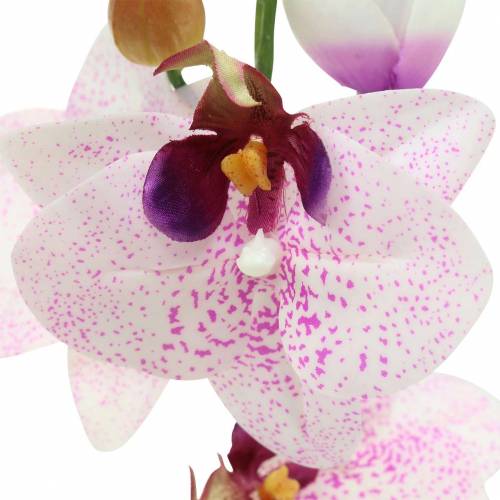 Artikel Orchidee phaleanopsis kunstmatig wit, paars 43cm