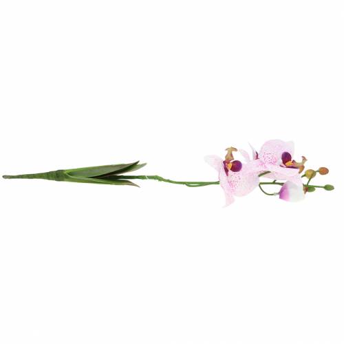 Artikel Orchidee phaleanopsis kunstmatig wit, paars 43cm