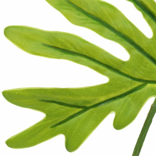 Floristik24 Philodendron Blad Groen 40cm