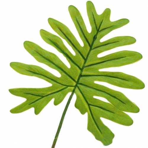 Floristik24 Philodendron Blad Groen 40cm