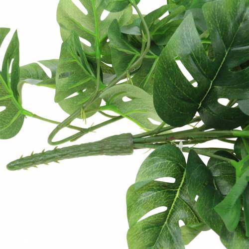 Floristik24 Philodendron hanger groen 85cm