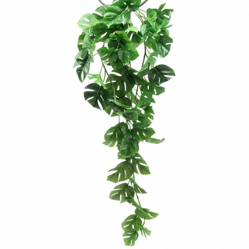 Floristik24 Philodendron hanger groen 85cm