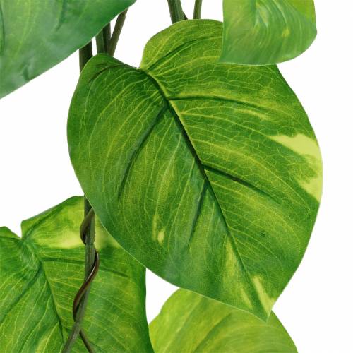 Floristik24 Philodendron hanger kunstmatig 110cm