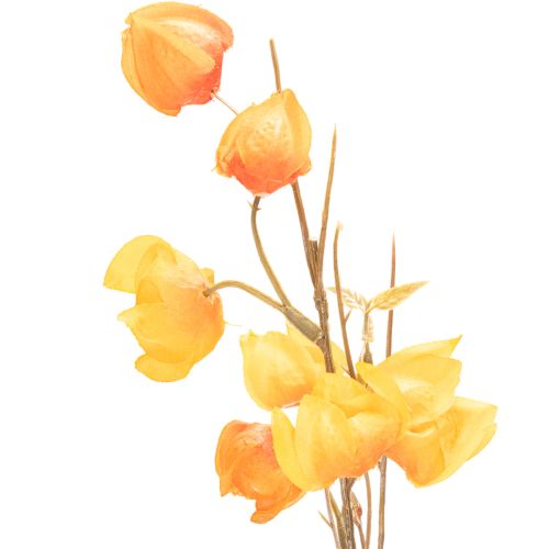 Kunstmatige Chinese lampionplant, Physalis-tak met bloesem, 95 cm | Floristik24.nl
