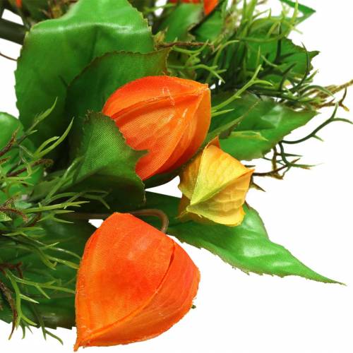 Floristik24 Physalis krans kunstoranje, groen Ø28cm herfstdecoratie