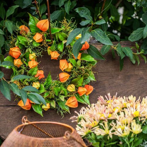 Floristik24 Physalis krans kunstoranje, groen Ø28cm herfstdecoratie