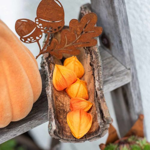 Floristik24 Physalis Oranje Assortiment 22 stuks decoratieve kunstkelken