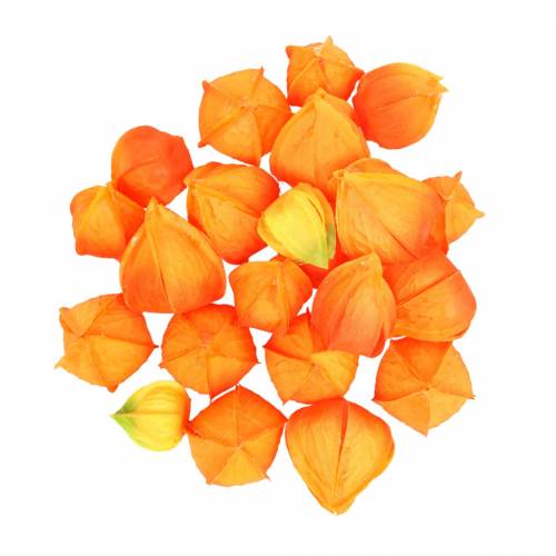 Floristik24 Physalis oranje geassorteerd 22 stuks decoratieve kunstbloemkelken