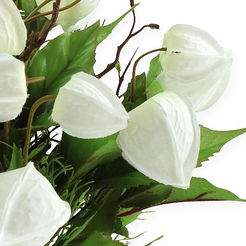 Floristik24 Physalis struik wit 30cm