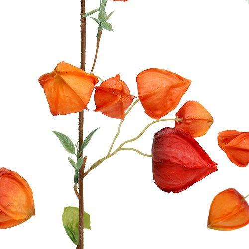 Floristik24 Physalis tak 90cm oranje 3st