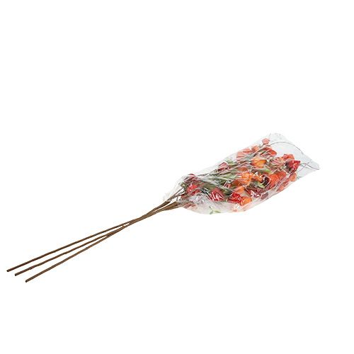 Floristik24 Physalis tak 90cm oranje 3st