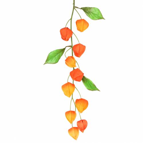 Floristik24 Physalis kunsttak oranje 78cm