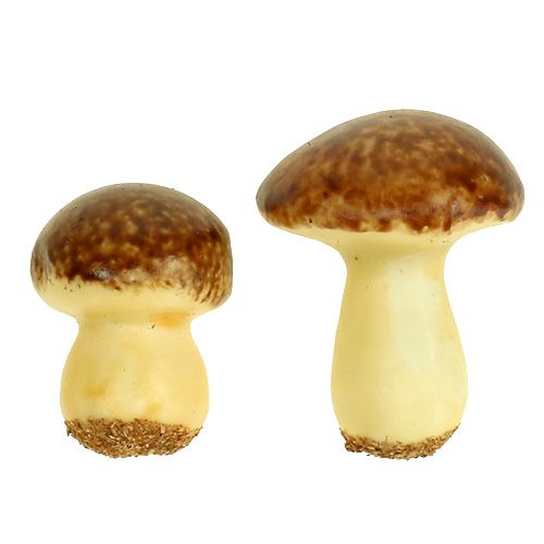 Floristik24 Champignonmix bruin 24 st