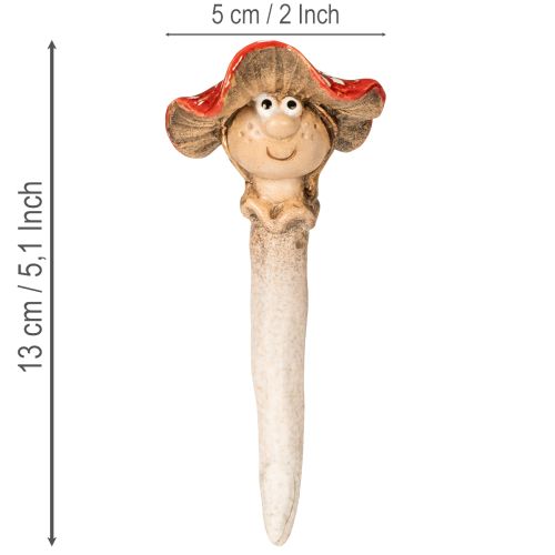  | Floristik24.nl