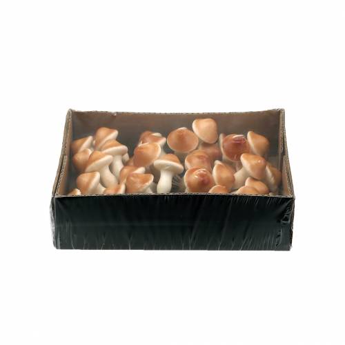 Floristik24 Paddenstoelen op draad natuur 2cm 48 st