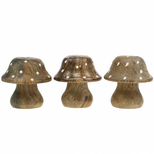 Floristik24 Decoratief paddestoel hout natuur 5cm 6st