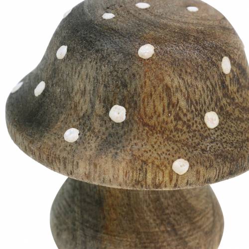 Floristik24 Decoratief paddestoel hout natuur 5cm 6st