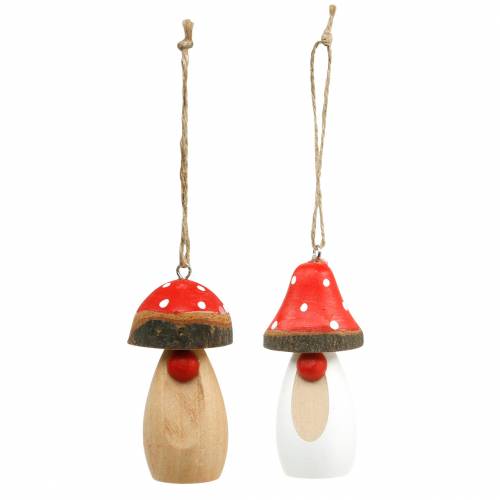 Floristik24 Paddestoel om hout op te hangen wit, bruin assorti 6,5/8cm 8 st