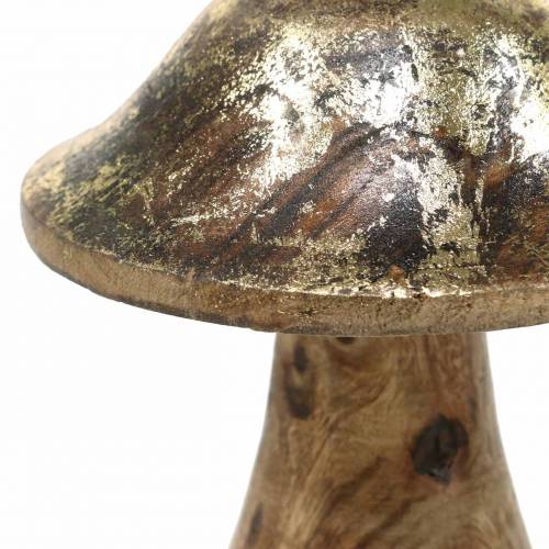Floristik24 Houten paddenstoel goudkleurig, natuurlijk mangohout Ø6,8cm H9,8cm 2st