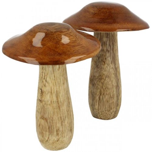Paddenstoel mangohout bruin, natuur tafeldecoratie herfst Ø9cm H12cm 2st Paddenstoel mangohout bruin, natuur tafeldecoratie herfst Ø9cm H12cm 2st