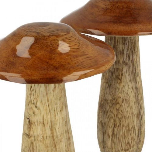 Paddenstoel mangohout bruin, natuur tafeldecoratie herfst Ø9cm H12cm 2st