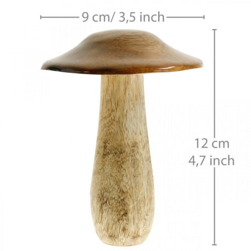 Paddenstoel mangohout bruin, natuur tafeldecoratie herfst Ø9cm H12cm 2st