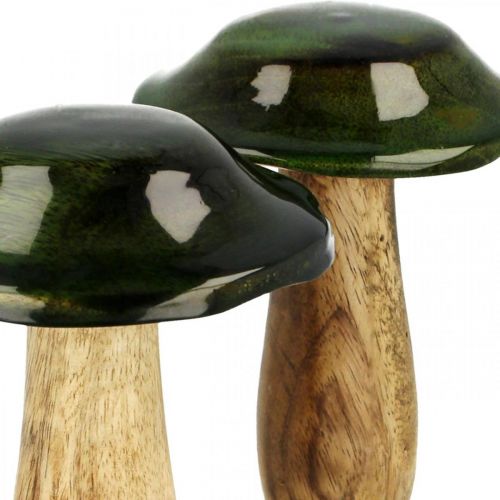 Floristik24 Paddenstoel groen mangohout herfstdecoratie gemaakt van hout Ø9cmH11cm 2st