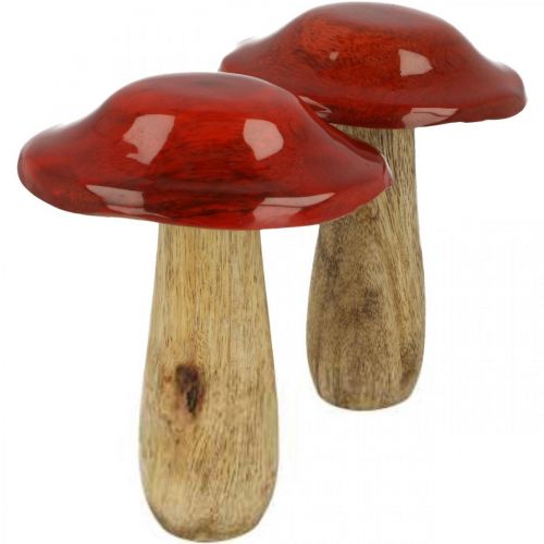 Floristik24 Paddenstoel mangohout rood, natuurdecoratie herfst Ø9cm H12cm 2st