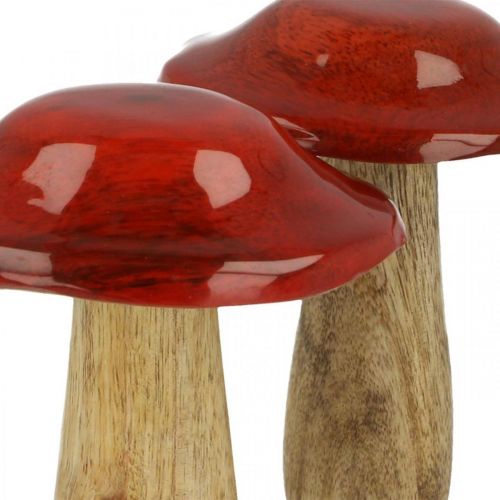 Floristik24 Paddenstoel mangohout rood, natuurdecoratie herfst Ø9cm H12cm 2st