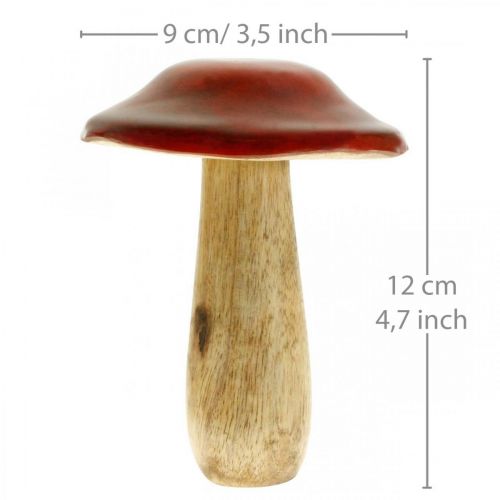 Floristik24 Paddenstoel mangohout rood, natuurdecoratie herfst Ø9cm H12cm 2st