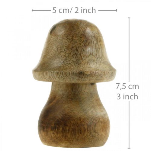 Floristik24 Paddenstoel mangohout naturel houten paddenstoel herfstdecoratie Ø5cm H7.5cm 6 stuks