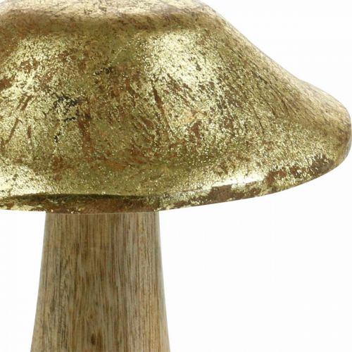 Floristik24 Paddenstoel mangohout goud, naturel deco paddenstoelen groot Ø12cm H15cm 2st