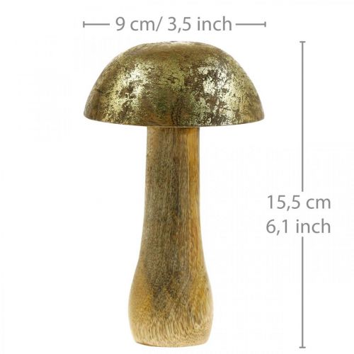 Floristik24 Paddenstoel mangohout goud, natuurlijke decoratieve paddenstoel Ø9cm H15.5cm 2st