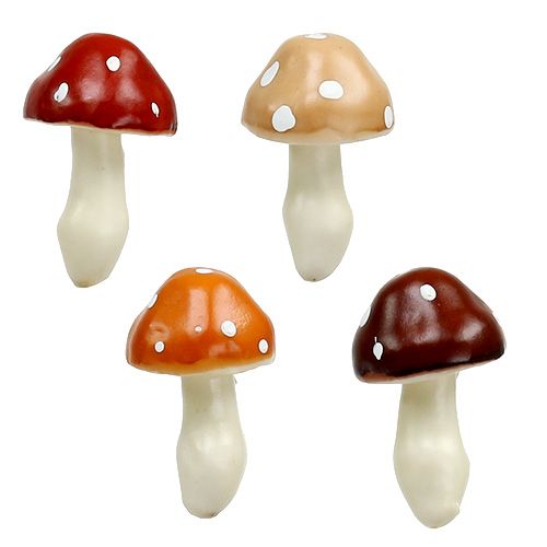 Floristik24 Champignons gesorteerd 3cm x 5cm op draad 48st