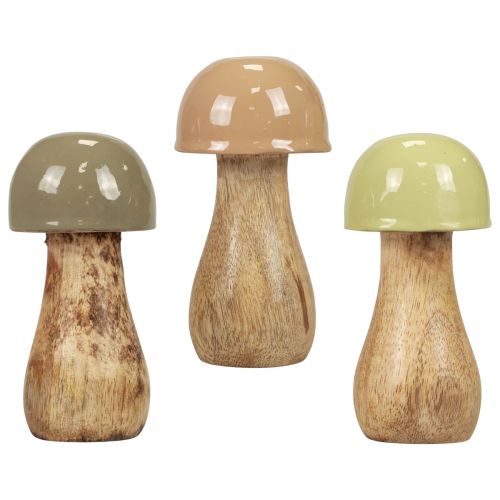 Floristik24 Houten champignons decoratieve champignons hout beige, groen Ø5cm H10,5cm 6st