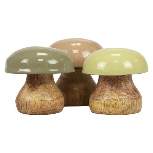 Floristik24 Houten Paddestoelen Deco Paddenstoelen Hout Deco Beige, Groen Ø5cm H5,5cm 12st