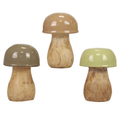 Houten champignons decoratieve champignons hout beige, groen Ø5cm 7,5cm 12st