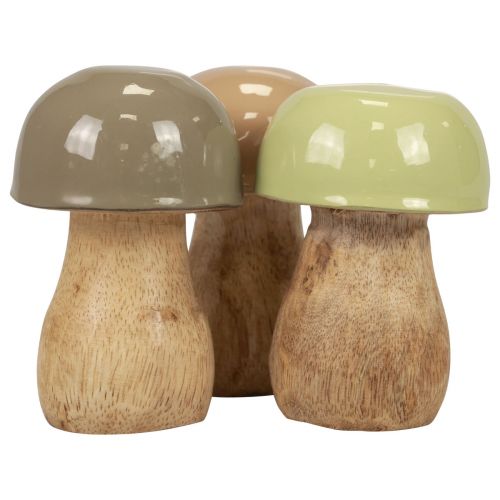 Floristik24 Houten champignons decoratieve champignons hout beige, groen Ø5cm 7,5cm 12st