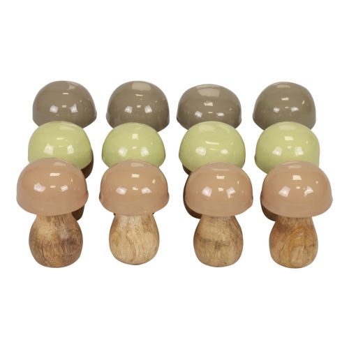 Floristik24 Houten champignons decoratieve champignons hout beige, groen Ø5cm 7,5cm 12st