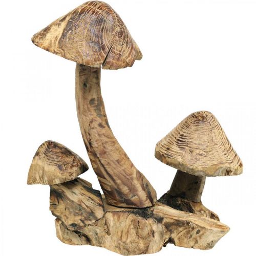 Floristik24 Paddenstoelengroep, paulowniahout, herfstdecoratie, houten sculptuur H33cm L30cm